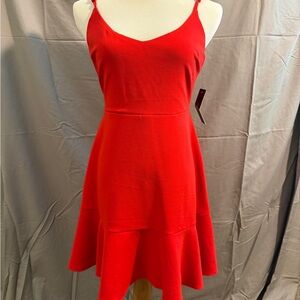 Lulu's Scarlet Mini Dress